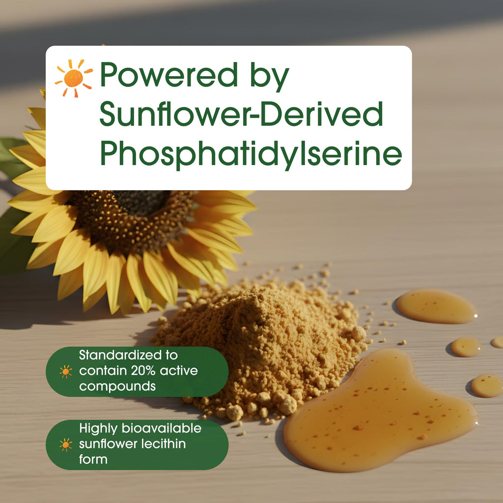 NatureBell Phosphatidylserine 500mg, 240 Capsules