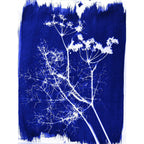Buy now Jacquard Cyanotype Sensitizer Set at indiglob india
