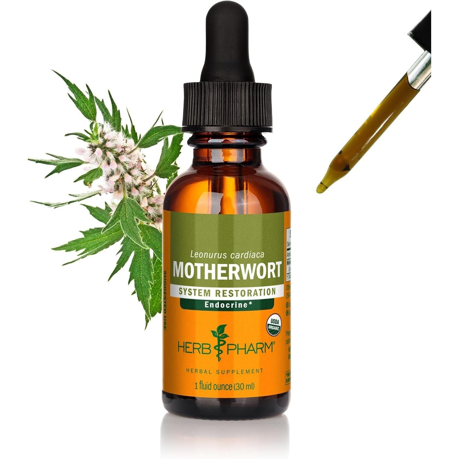 Buy now Herb Pharm Certified Organic Motherwort Liquid Extract for Endocrine System Support - 1 Ounce 1 Fl Oz (Pack of 1) at indiglob india