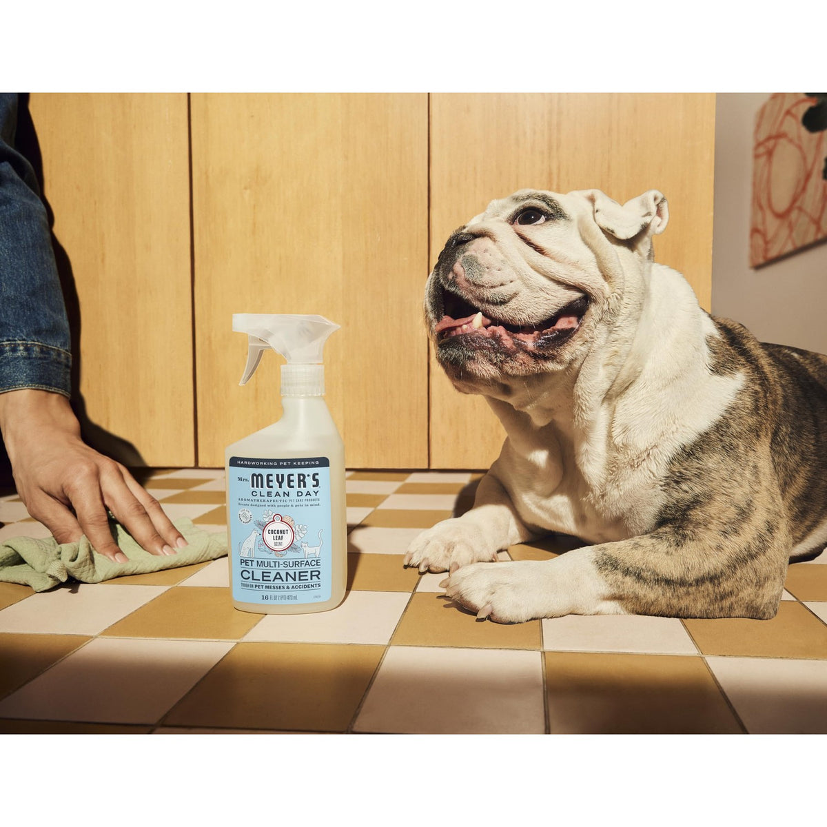 Mrs. MEYER'S CLEAN DAY Pet Multi-Surface Cleaner, Coconut Leaf Scent, 16oz