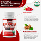 Organic Berberine with Ceylon Cinnamon 2175mg - Premium berberine supplement high purity extract USDA Organic, support immune system, Berberine Plus Complex, Non-GMO Vegan for Men Women 90 Capsules