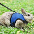 Buy now PETTOM Bunny Rabbit Harness with Stretchy Leash Cute Adjustable Buckle Breathable Mesh Vest for Kitten Small Pets Walking (Blue,S) S(Chest:9.8-12.5 in) Blue at indiglob india