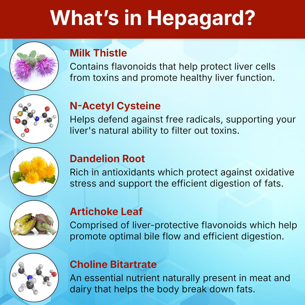 Hepagard Natural Liver Support Supplement with NAC, Vegan, Gluten-Free | Promotes Healthy Liver Function, Detox, and Cleanse with Milk Thistle for Less Bloating and Better Digestion, 30-Day Supply