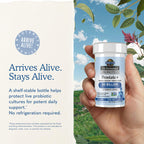 Garden of Life Dr. Formulated Probiotics Prostate+ - Acidophilus and Probiotic Supports Healthy Prostate and Digestive Balance - Shelf Stable - Gluten, Dairy, and Soy-Free - 60 Vegetarian Capsules