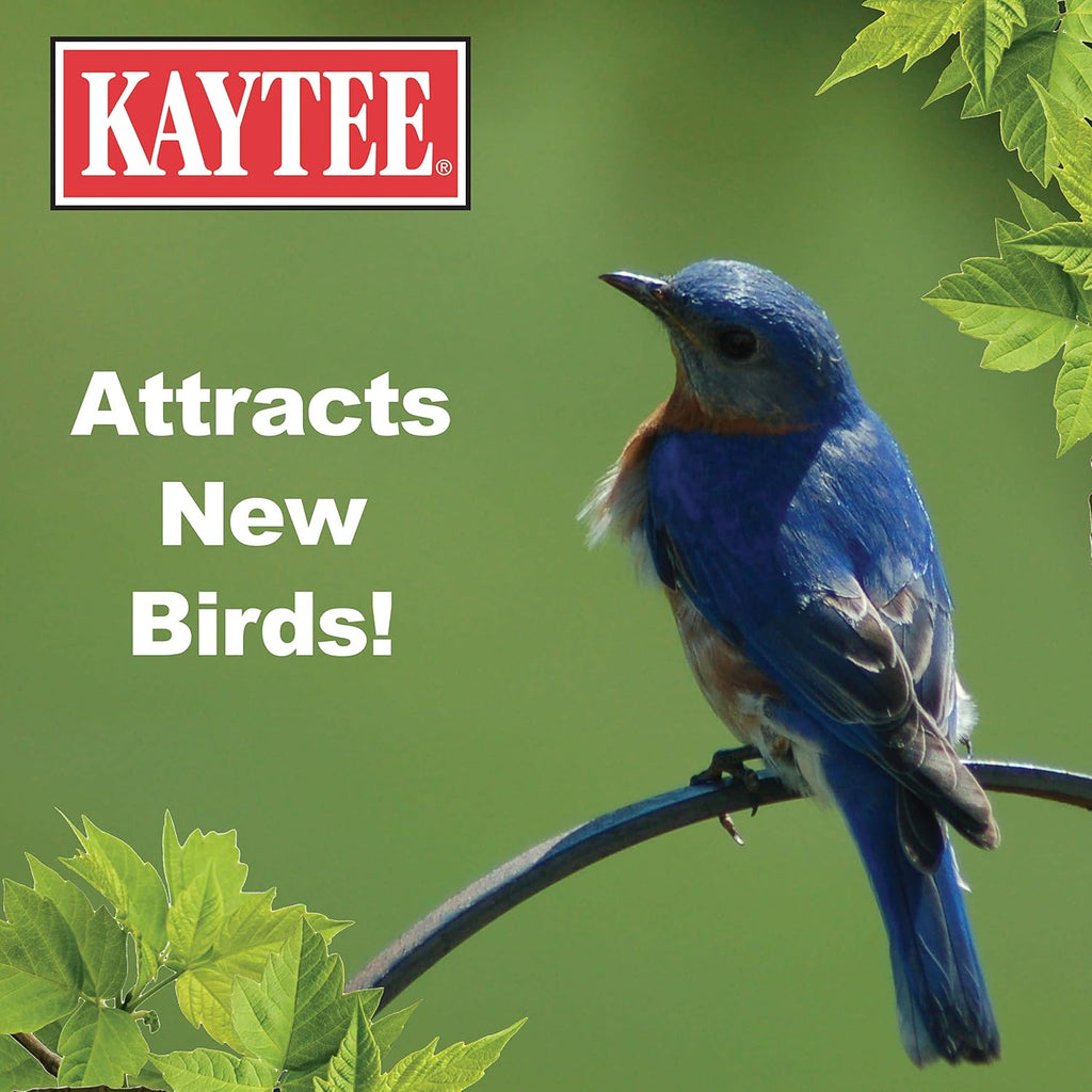 Buy now Kaytee Wild Bird Food Mealworms For Bluebirds, Wrens, Robins, Chickadees, Woodpeckers, Cardinals & Chickens, 3.5 Ounce at indiglob india