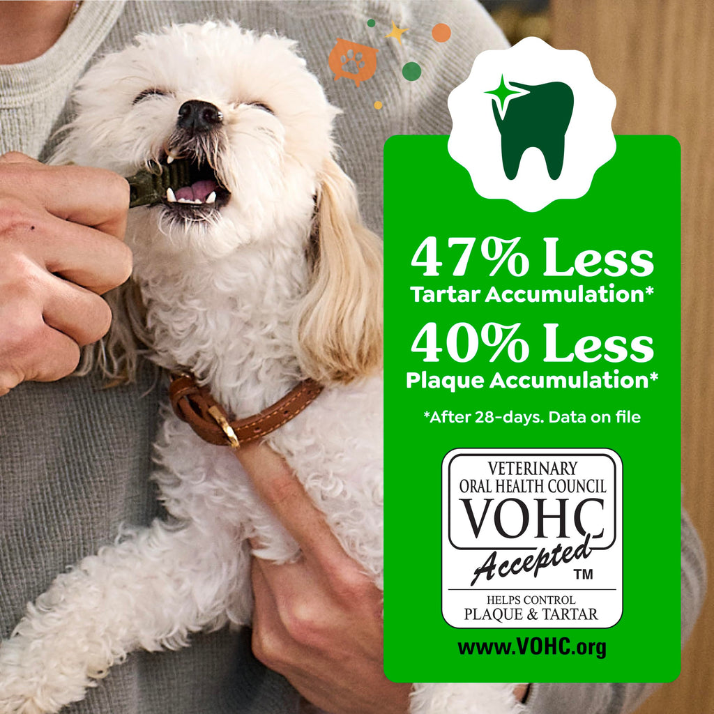 Greenies Teenie Natural Dental Dog Treats, Pumpkin Spice Flavor, 43 Count