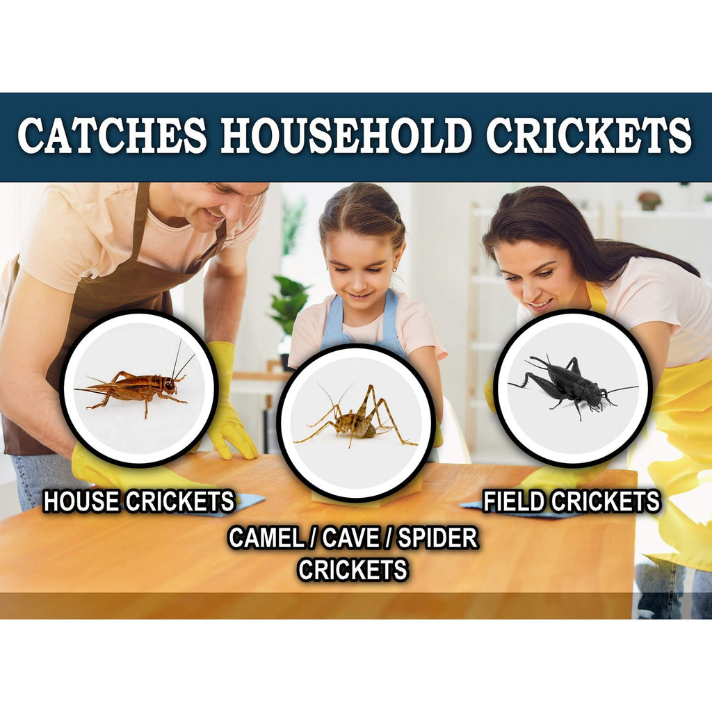 MaxGuard Extra Large Cricket Traps (8 Traps) | Non-Toxic Extra Sticky Glue Board Pre-Baited Cricket Attractant Trap & Kill House Crickets, Insects, Spiders, Bugs