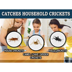 MaxGuard Extra Large Cricket Traps (8 Traps) | Non-Toxic Extra Sticky Glue Board Pre-Baited Cricket Attractant Trap & Kill House Crickets, Insects, Spiders, Bugs