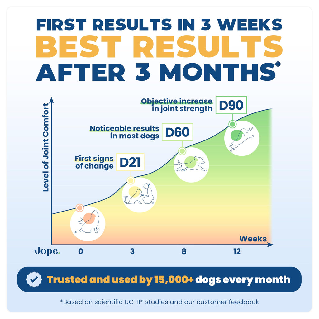 Jope Hip & Joint Supplement for Dogs Large, Medium, Small - Joint Chews w/UC-II® Collagen - Proven Better Than Glucosamine Chondroitin in Canine Health - Veterinarian Formulated, Omega 3 & Curcumin