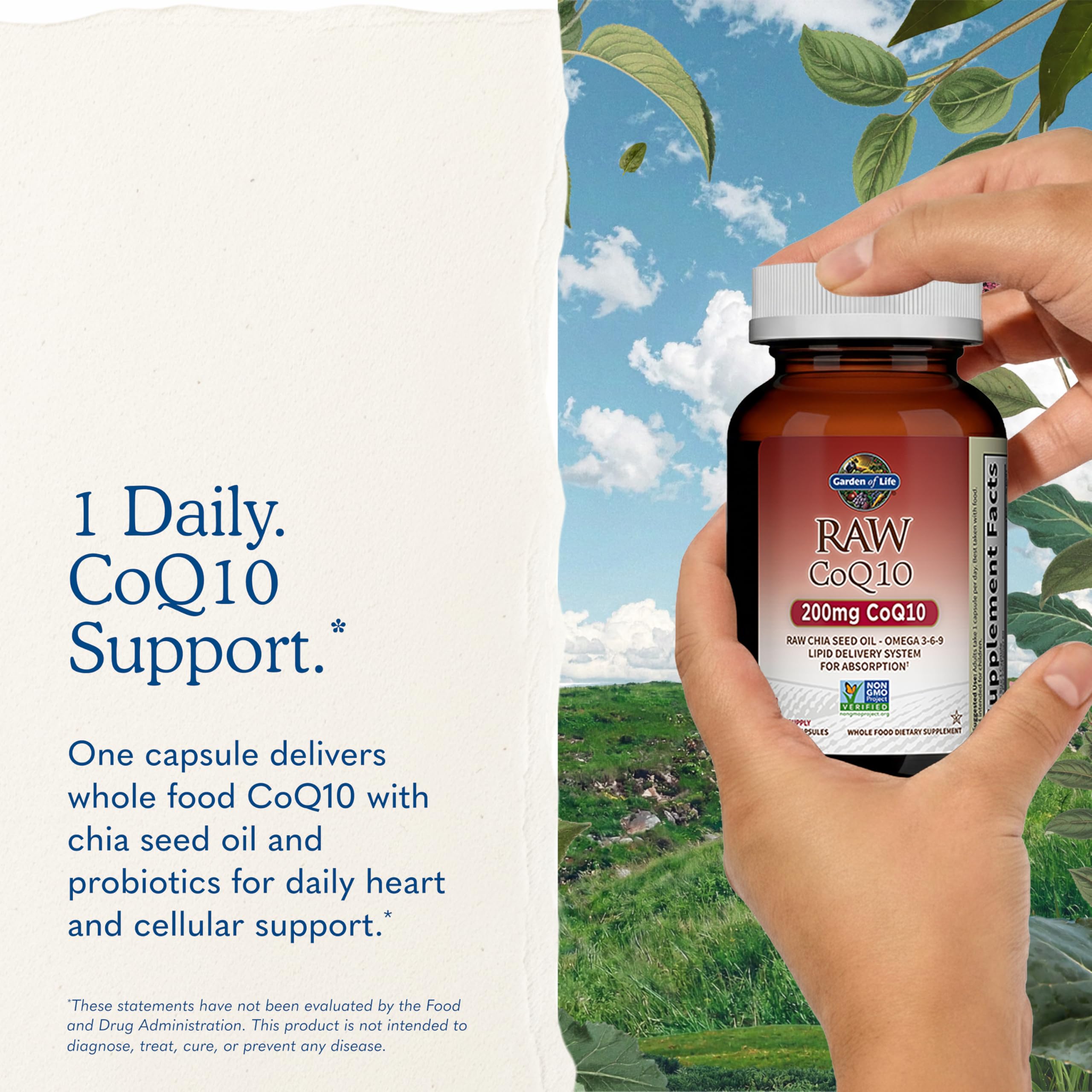Garden of Life Raw CoQ10 200mg, with Omega 3 6 9 for Heart Health, 60ct | Vegetarian Omega 3 6 9 Supplement Raw Co Q 10 Chia Seed Oil, Whole Food Nutrition with Antioxidant Support, Coenzyme q10