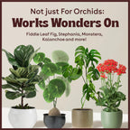 Berkland Keiki Cloning Paste for Orchids & Houseplants, 0.5 oz - 2X Size