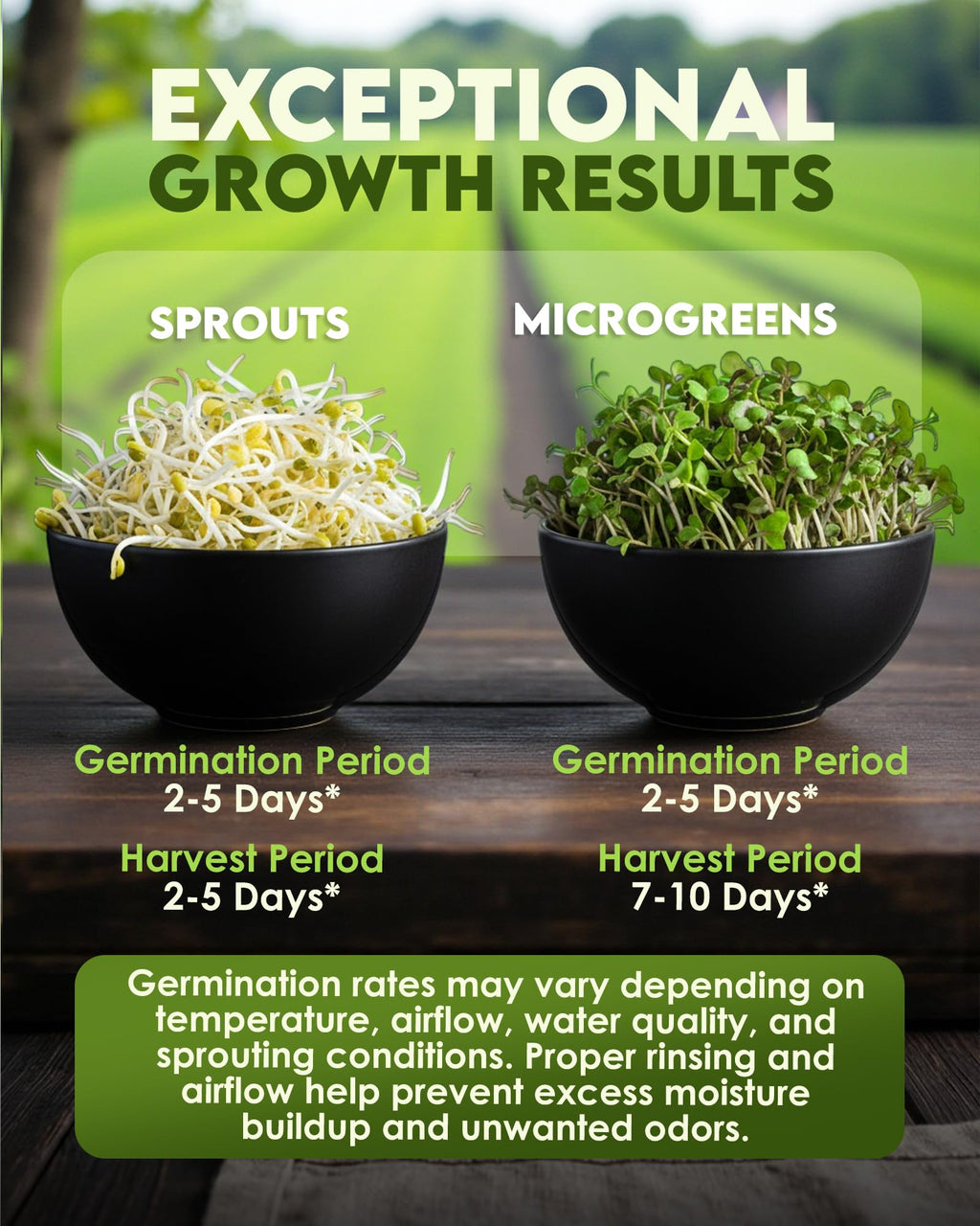 Nature Jim's Sprout Organic Broccoli Seeds – Non-GMO, Sprouting Seeds - 8oz