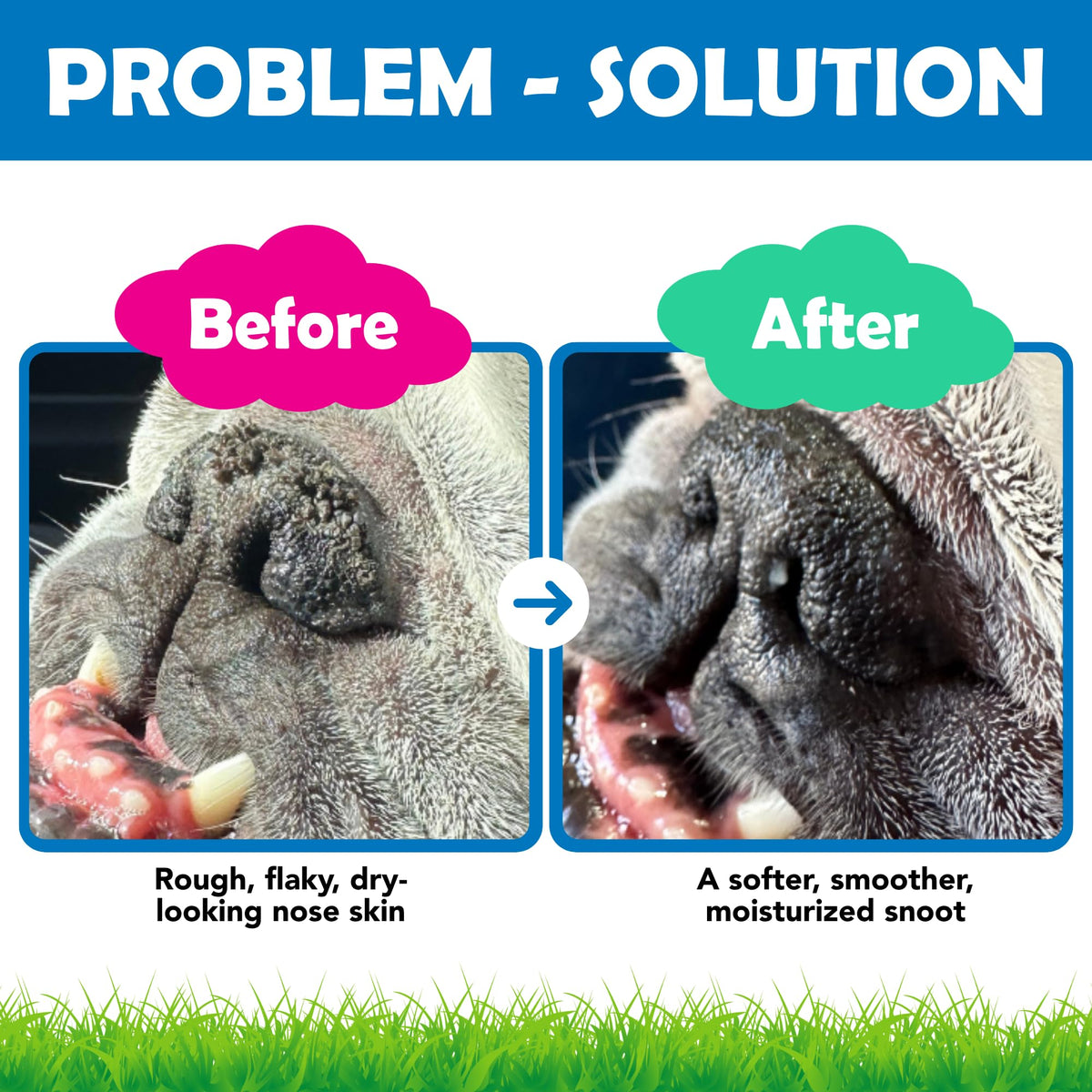 Squishface Dog Lick Safe Nose Balm for Hyperkeratosis & Dry Cracked Snouts