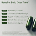 Seed DS-01 Daily Synbiotic - Adult Probiotic + Prebiotic - 30-Days with Jar | 24 Probiotics + Prebiotic - Digestive & Gut Health - Bloating & Gas Relief - Improves Regularity - Vegan Capsules