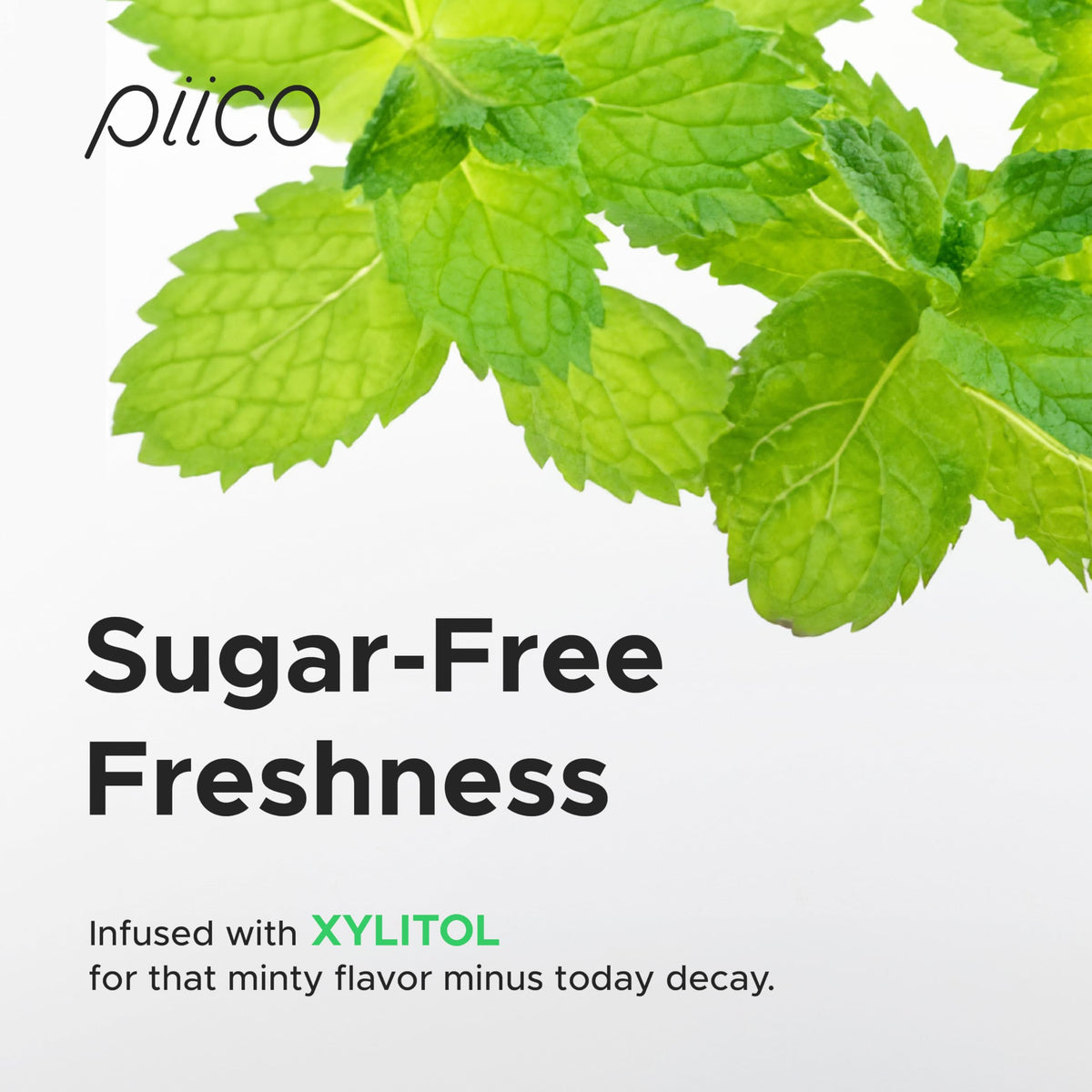 Piico Xylitol Floss Picks, 100 Count - Unbreakable, Shred-Resistant, Resealable, Unique Flavored Dental Flossers for Adults, Portable