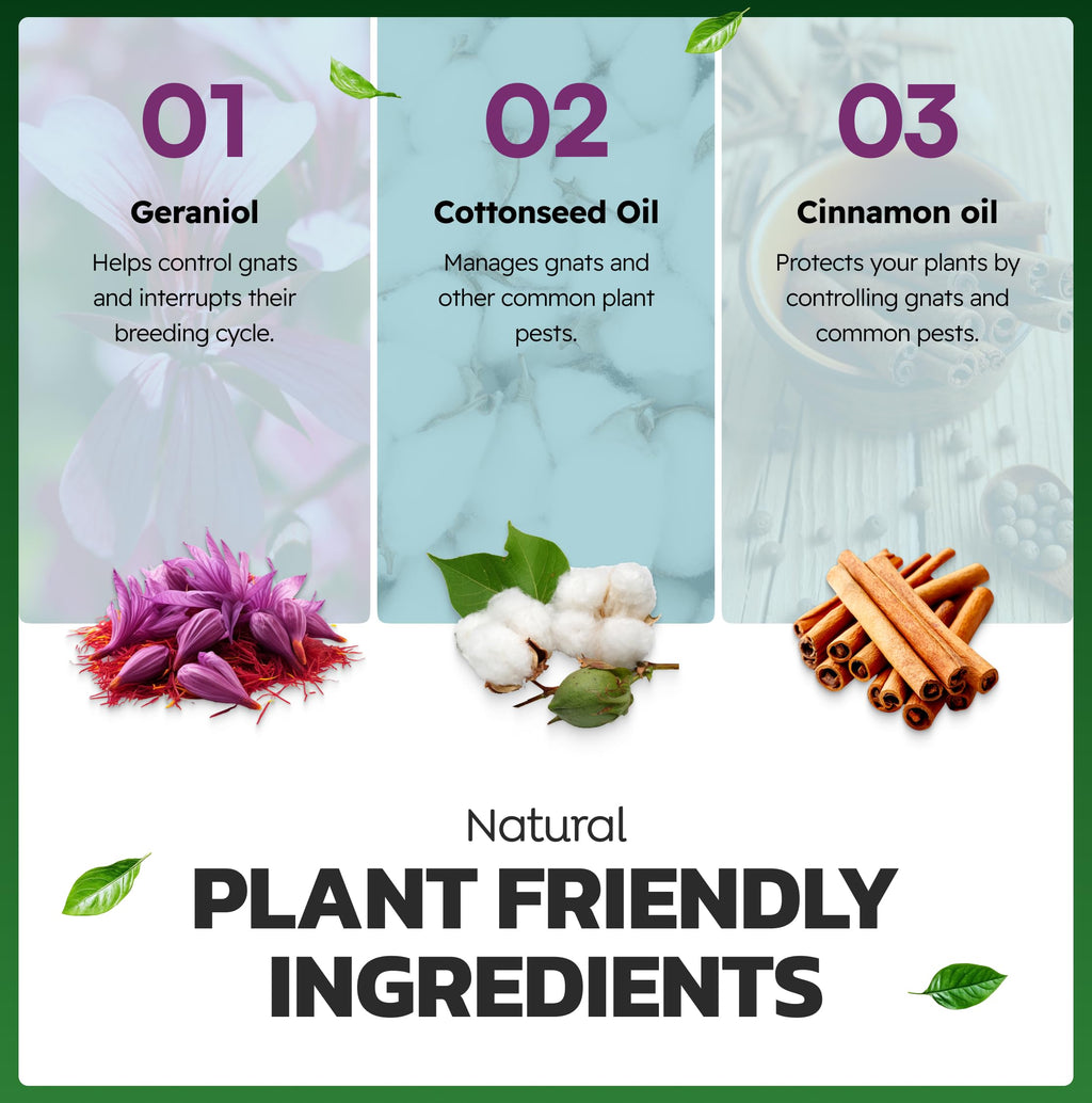 Eco Defense Plant Gnat Spray, Fungus Gnat Killer for Houseplant Soil