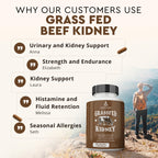 Ancestral Supplements Grass Fed Beef Kidney Supplement, 3000mg, 180 Ct | DAO enzyme-rich formula for kidney support and kidney health, promoting urinary & histamine balance with B12.