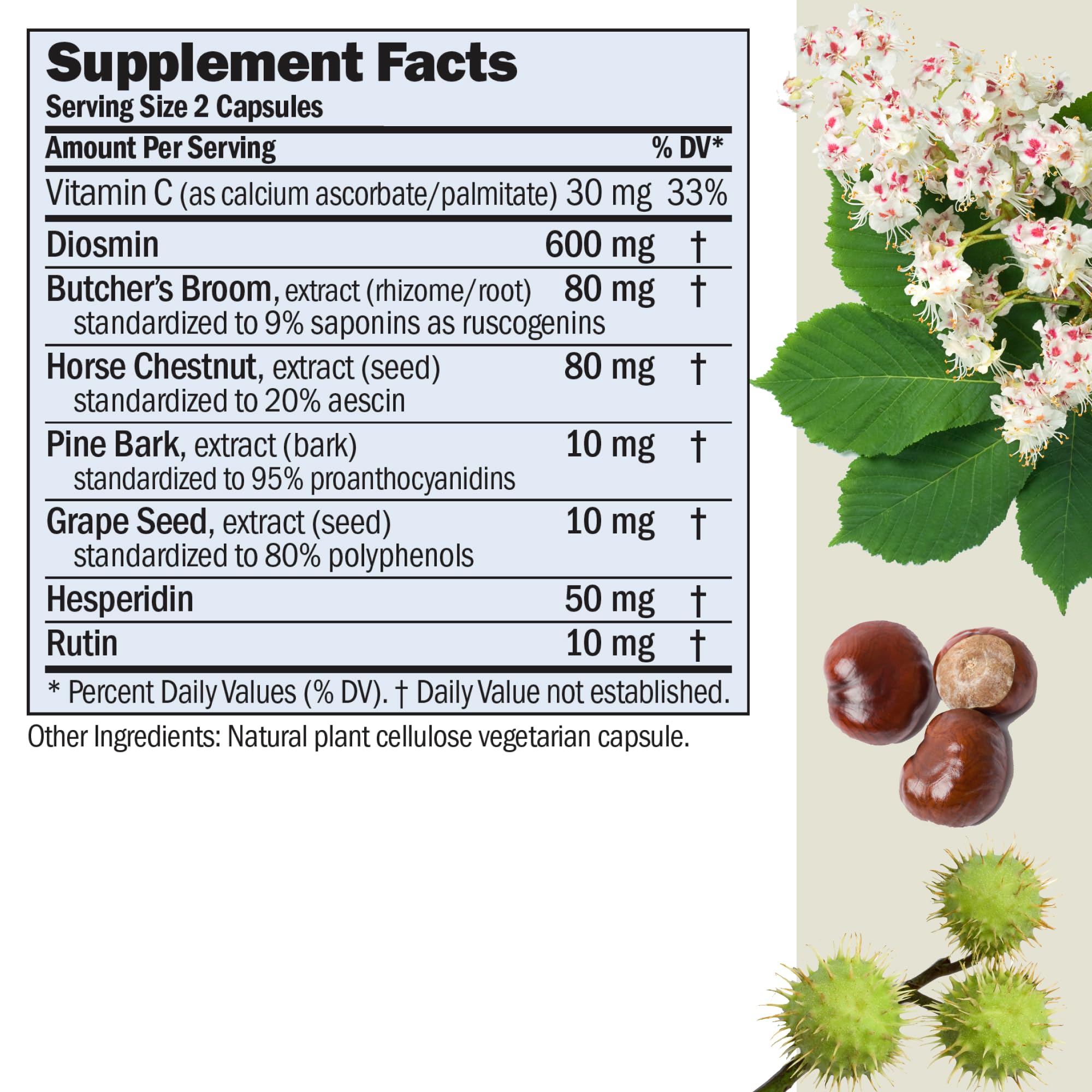 ANDREW LESSMAN ProCaps Circulation & Vein Support 60 Capsules | Standardized Botanical Extracts & Flavonoids in a Comprehensive Circulation & Vein Support Formula