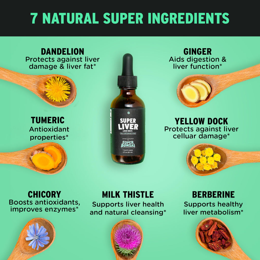 Milk Thistle Herbal Liquid Supplement - Doctor-Formulated Botanical Blend with Milk Thistle and Dandelion Root - Vegan Non-GMO Drops - 1 Month Supply