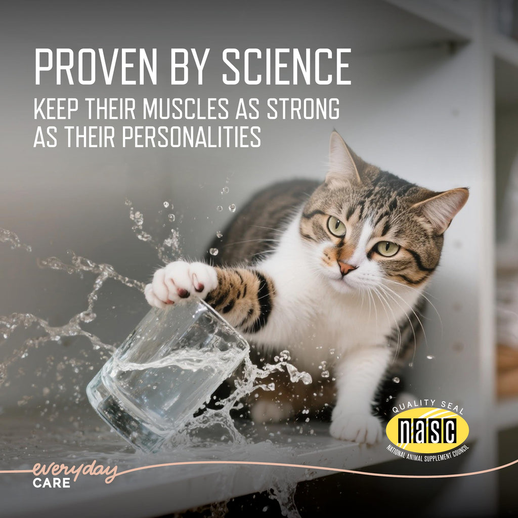 URSOLYX Soft Chews for Cats, Muscle Health Support, 60 Count