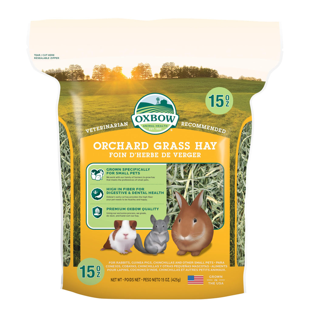 Buy now Oxbow Orchard Grass Hay, Rabbit & Guinea Pig Hay, High Fiber for Digestive Health, Grown in the USA, Veterinarian Recommended Small Pet Supplies, for Rabbits, Guinea Pigs, & Chinchillas, 15 oz. Orchard Grass 15 Ounce (Pack of 1) at indiglob india