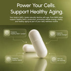 partiQlar Pure NMN Supplement 500mg - High Purity NAD+ Booster Capsules