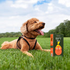 Dog Poop Bags - 60 Count Unscented Leakproof - Stable Genius