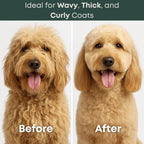 Dematting Comb for Dogs - Serrated Mat Remover for Curly Coats