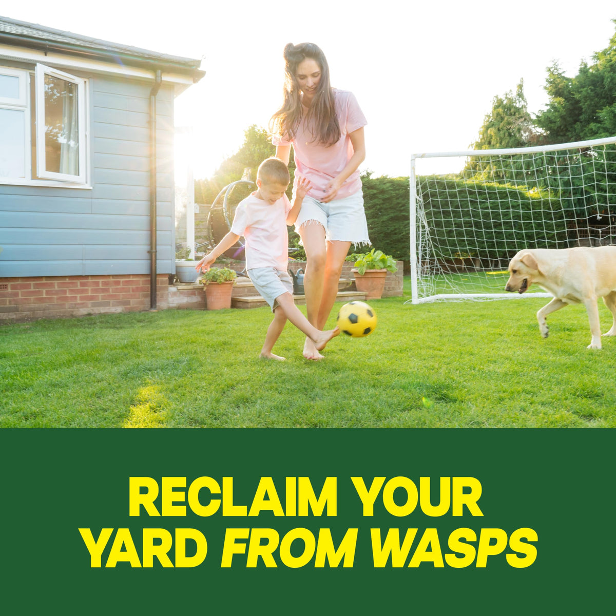Raid Outdoor Ground Nest Wasp & Insect Killer Dust, 24 oz