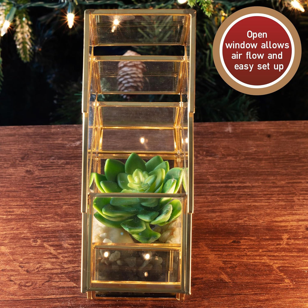 Buy now Christmas Tree Glass Terrarium- 8" Festive Planter for Holiday Home Decor- Add Xmas Cheer w DIY Succulents, Lights & Ornaments- Tabletop Centerpiece or Mantel, Office Decorations- Plant Lovers Gift at indiglob india