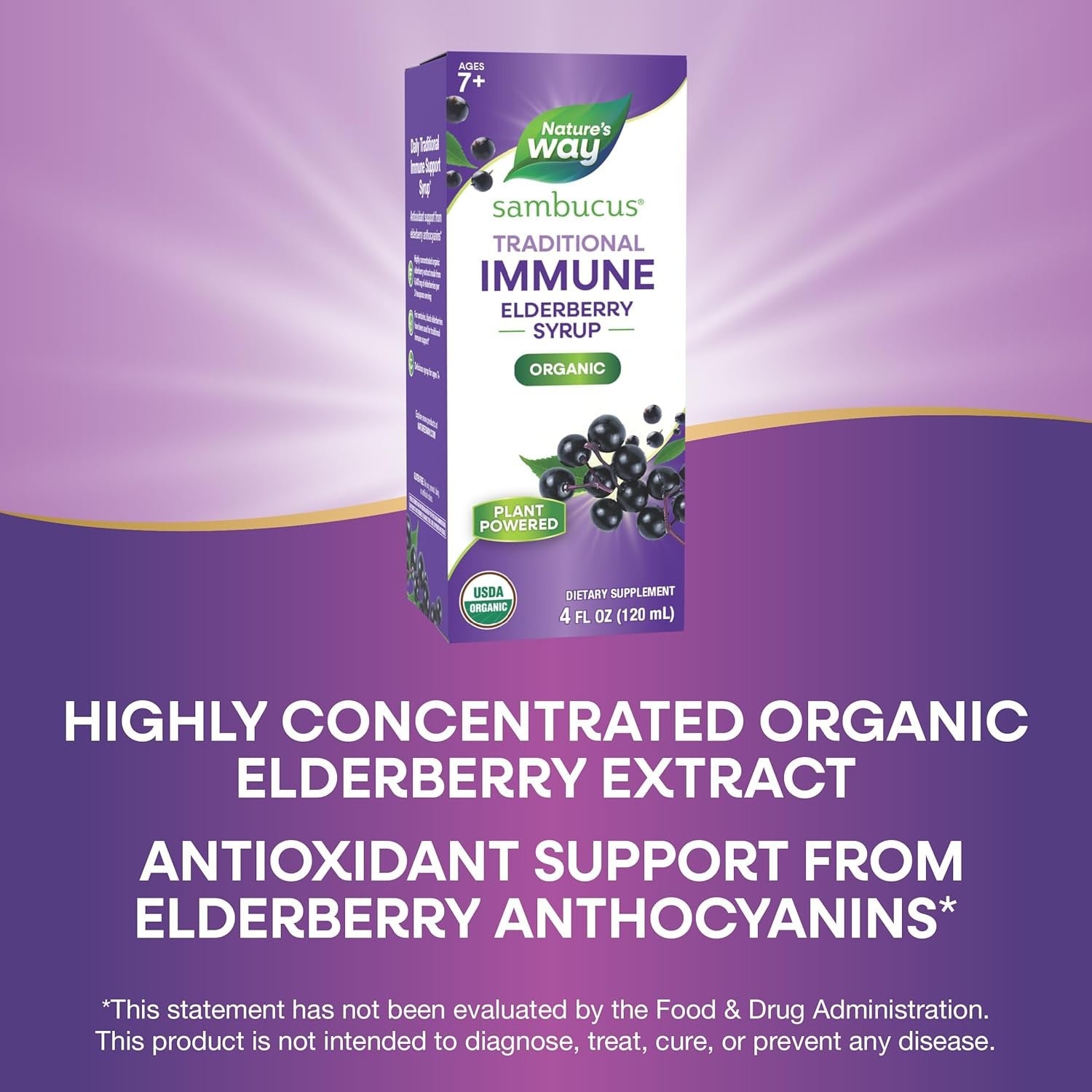 Buy now Nature's Way Sambucus Traditional Immune Elderberry Syrup for Ages 7+, Traditional Immune & Antioxidant Support*, Organic Black Elderberry Extract, USDA Certified Organic, 4 Fl Oz (Packaging May Vary) at indiglob india
