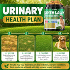Dog Urine Neutralizer for Lawn, Green Grass Chews for Dogs, 200 Ct, Chicken