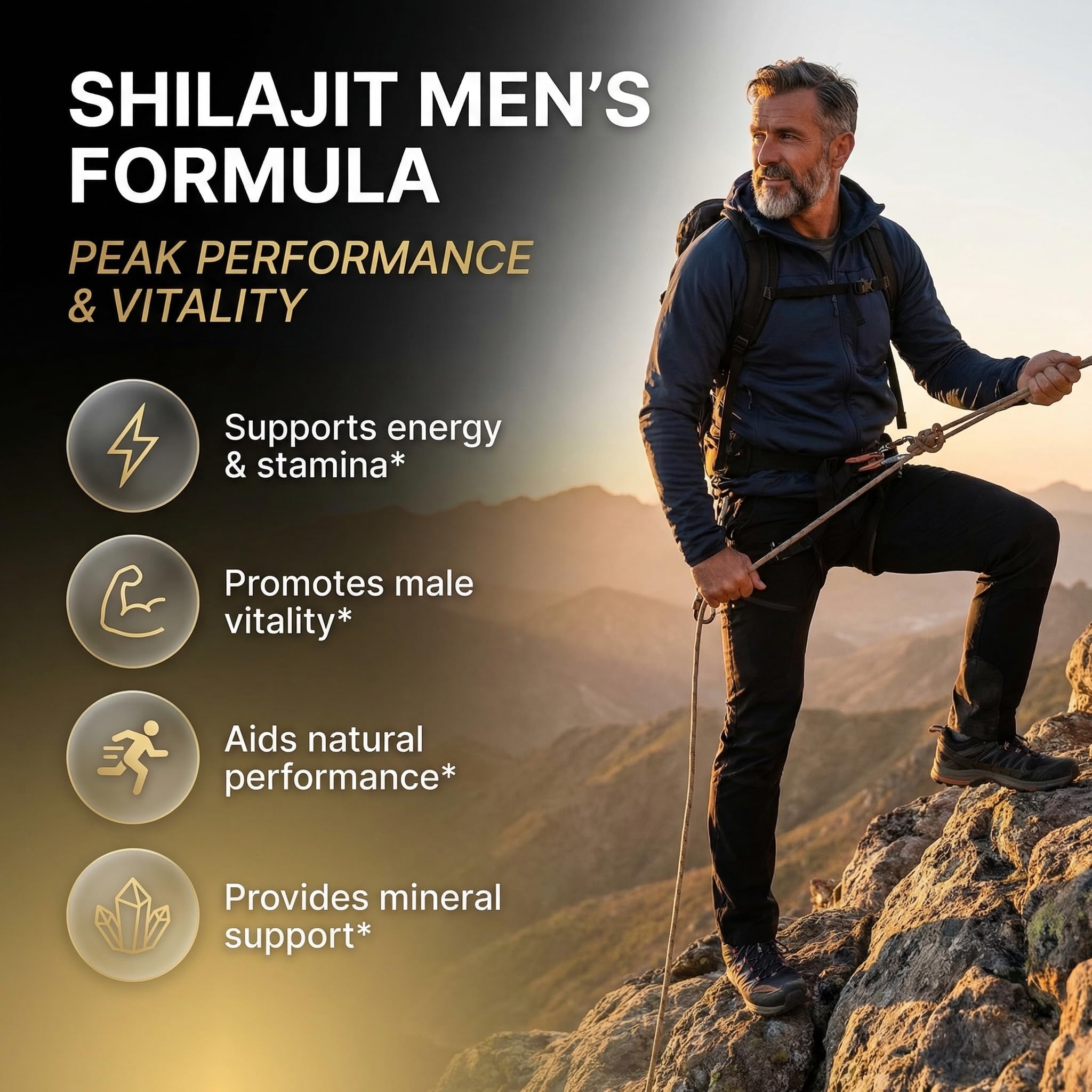 Clean Nutraceuticals Shilajit Supplement for Men with Sea Moss, Tongkat Ali, Ashwagandha, Boron, Zinc, CoQ10, PQQ - Fulvic Acid Capsules - Energy Support - 90 Count - Resin, Gummy & Powder Alternative