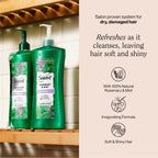Suave Invigorating Shampoo with Rosemary & Mint, Refreshing & Replenishing Care for Healthy-Looking Hair, No Parabens, Phthalates, or Dyes, 28 FL OZ Bottle