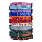 GoTags Personalized Dog Collar, Custom Embroidered Pet ID Dog Collar with Pet Name and Phone Number, Adjustable with Quick Release Snap Buckle