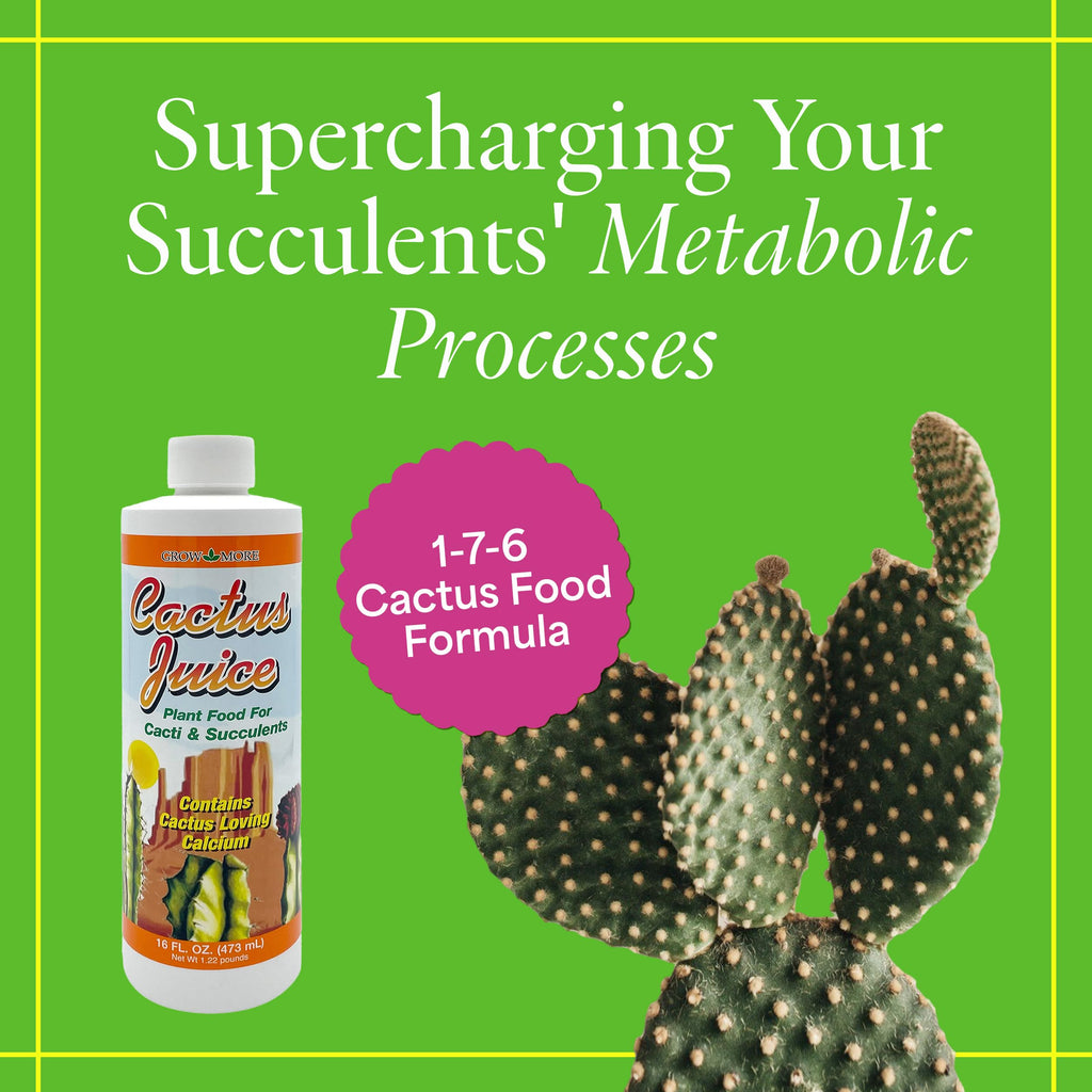 Grow More Cactus Juice (1-7-6) - 16oz of Succulent Fertilizer - Cactus Food for Growth & Root Development - Calcium-Rich Fertilizer for Succulents, Cacti, Snake Plants, & More