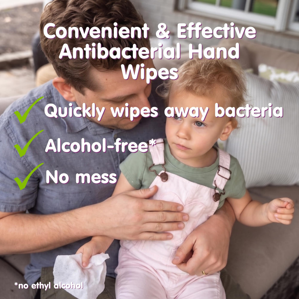 Boogie Antibacterial Hand Wipes - 90 Count