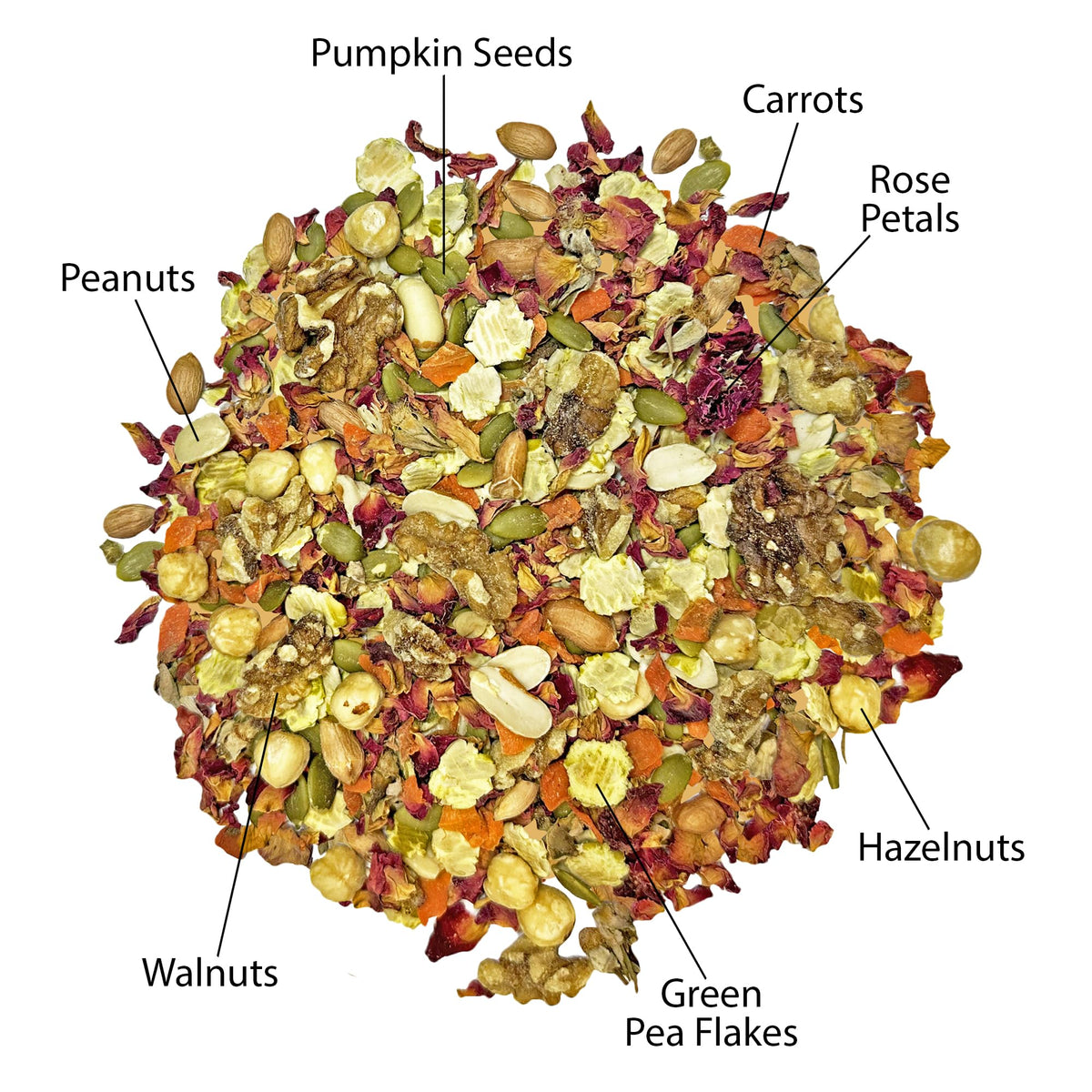 Exotic Nutrition Muncher Mix (3.5 oz) - Natural & Nutritional Treat for Hamsters, Gerbils, Rats, Degus, and Squirrels