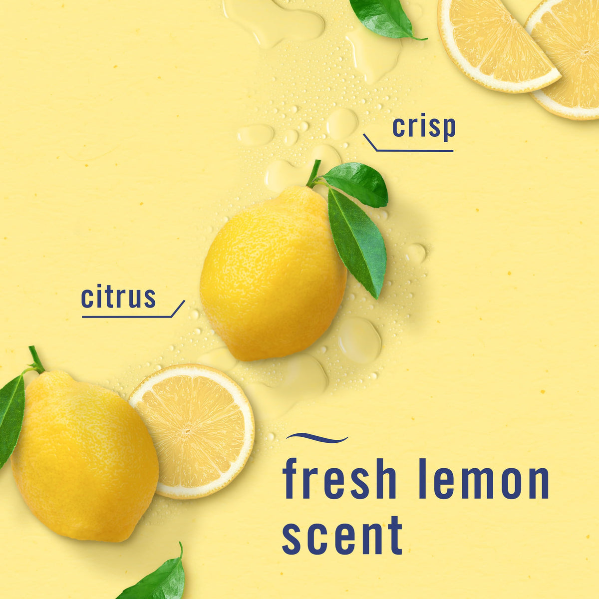Febreze Kitchen Air Freshener, Odor-Fighting, Plug In Alternative, Air Fresheners for Home and Bathroom and Kitchen, Closet Air Fresheners, Fresh Lemon Scent, 6 Count