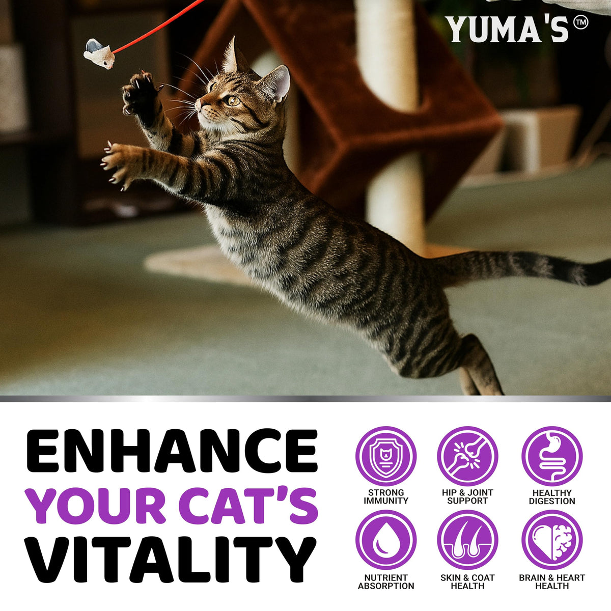 Cat Multivitamin Chews - Cat Vitamins and Supplements - Taurine & Lysine