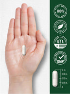 Carlyle Royal Jelly Supplement | 120 Capsules | Traditional Herbal Formula