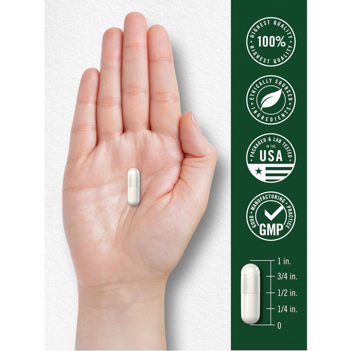 Carlyle Royal Jelly Supplement | 120 Capsules | Traditional Herbal Formula