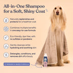 Pawfy 5 in 1 Dog Shampoo and Conditioner for Itchy Skin (Oatmeal & Aloe)