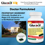 Glucocil – Vegetarian Capsules - Premium Blood Sugar Support - Supports the 3 Essentials for Healthy Blood Sugar - with Berberine, Proprietary Mulberry Leaf, and More