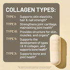 NatureWise Multi Collagen Peptides Pills for Women & Men - Type I, II, III, V, X w/Hyaluronic Acid - Supports Skin, Hair, Joint Health* - Grass Fed, Gluten Free, Non-GMO - 90 Capsules[30 Day Supply]
