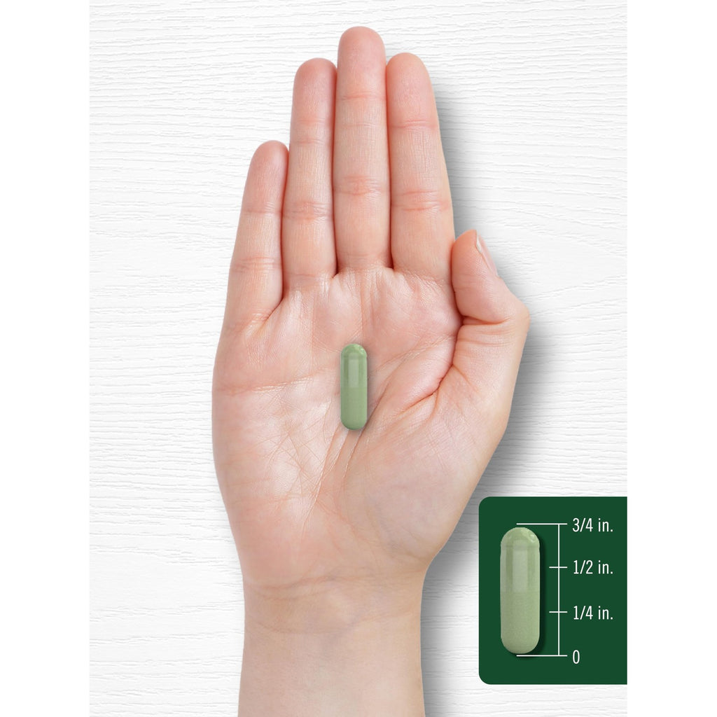 Carlyle Moringa Oleifera Supplement | 180 Capsules | Complete Green Superfood for Women and Men | From Moringa Leaf Powder | Non-GMO and Gluten Free