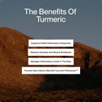 Momentous Turmeric Supplement, Meriva Curcumin, 1,000mg per Serving