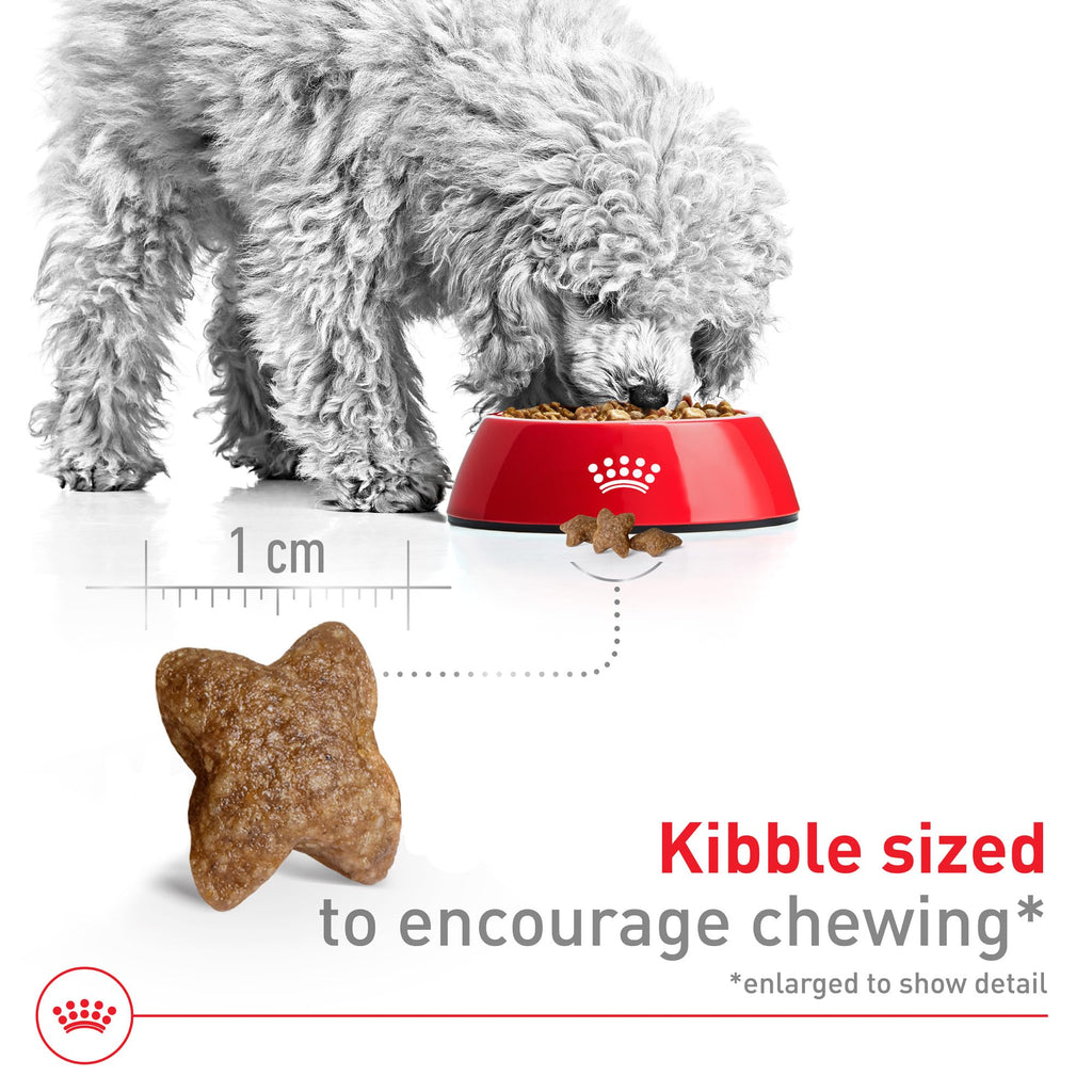 Royal Canin Size Health Nutrition Small Adult Dry Dog Food, 30 lb Bag