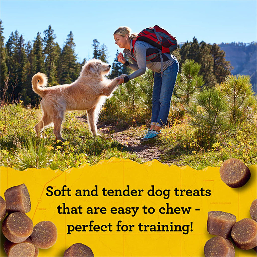Zuke's Mini Naturals Dog Training Treats, Salmon Recipe, Soft Mini Dog Treats with Vitamins & Minerals, Made for All Breed Sizes (Salmon, 16 Ounce (Pack of 2)