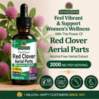 Nature's Answer Red Clover | Provides Menopause Support | Alcohol-Free, Gluten-Free, Kosher Certified & No Preservatives 1oz